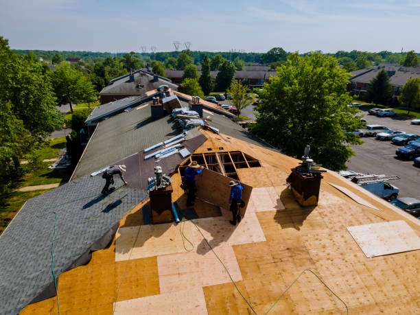 Trusted Storm Damage Roof Repair service in Davis City, IA - Brentwood Metal Roofing